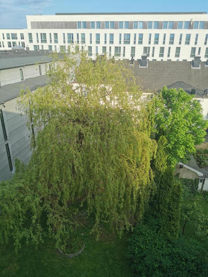 קריסטיאנסאנד Kongensgate, Koselig Liten Leilighet, 5 Min Unna Sentrum מראה חיצוני תמונה